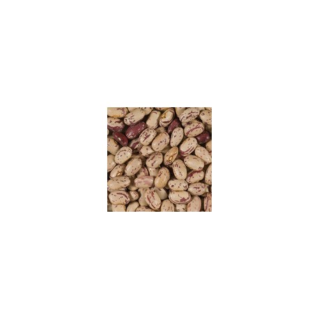 TERSOL HARICOT COCO ROSE 1KG