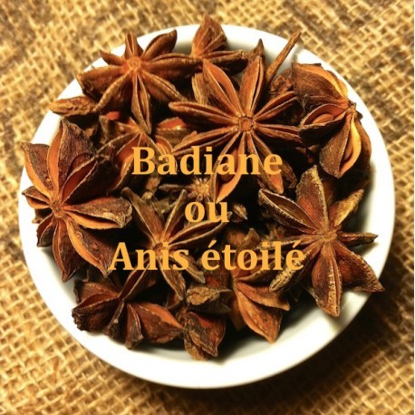Anis Étoilé - Étoile de Badiane - Épices Exotiques - Georges Colin